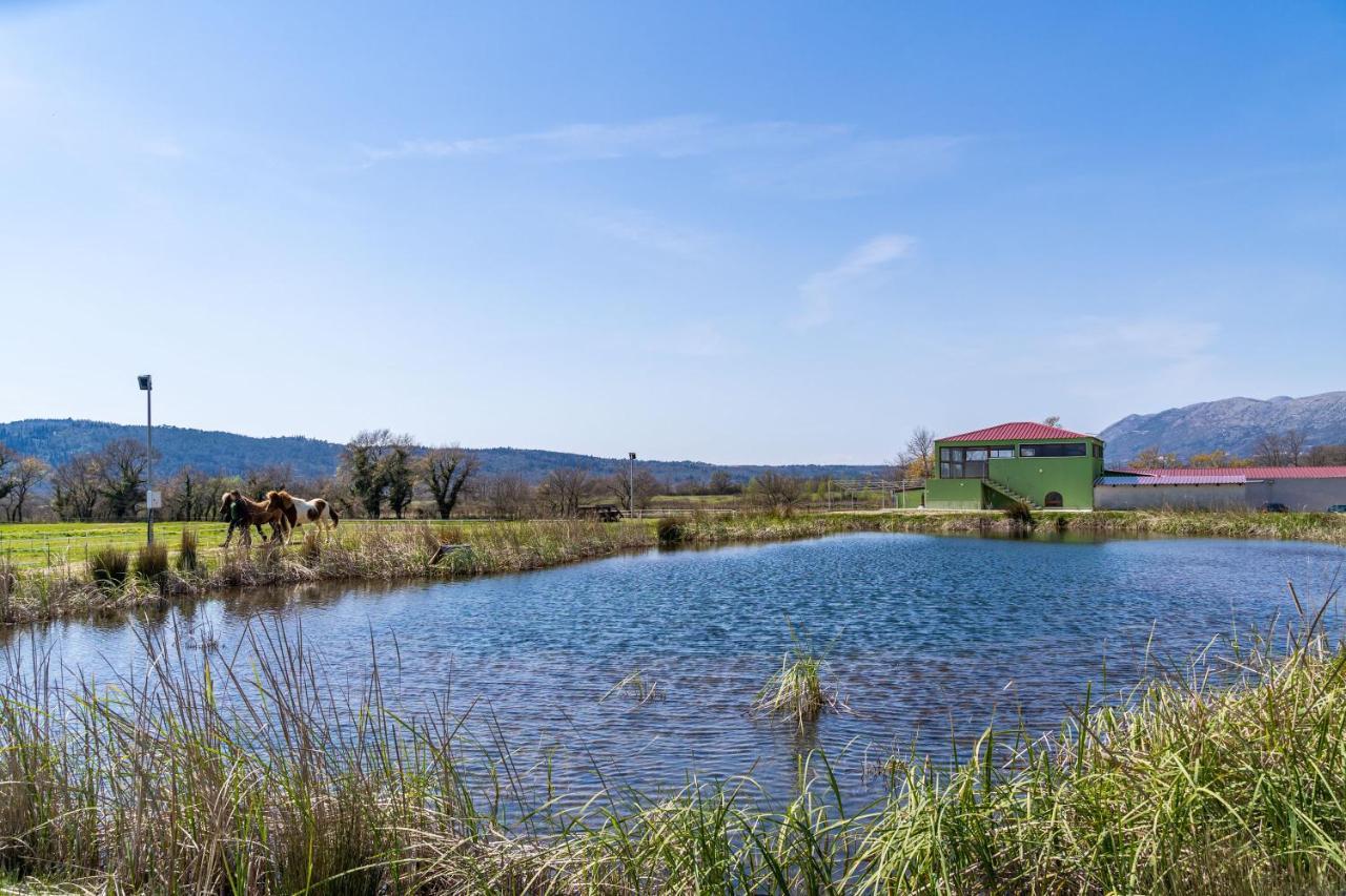 Villa Agave Gruda ภายนอก รูปภาพ